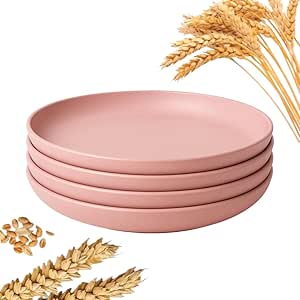 Conjunto Pratos de Jantar 4 peças de Palha de Trigo e Plastico Ecológico Itens Organicos Leves e Resistente Seguro Micro-ondas Lava-louças e Quedas (Rosa)